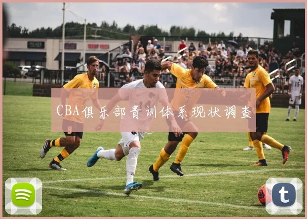CBA俱乐部青训体系现状调查