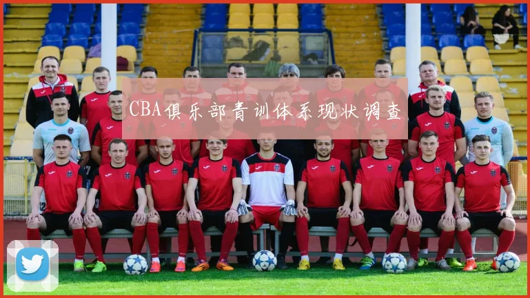 CBA俱乐部青训体系现状调查