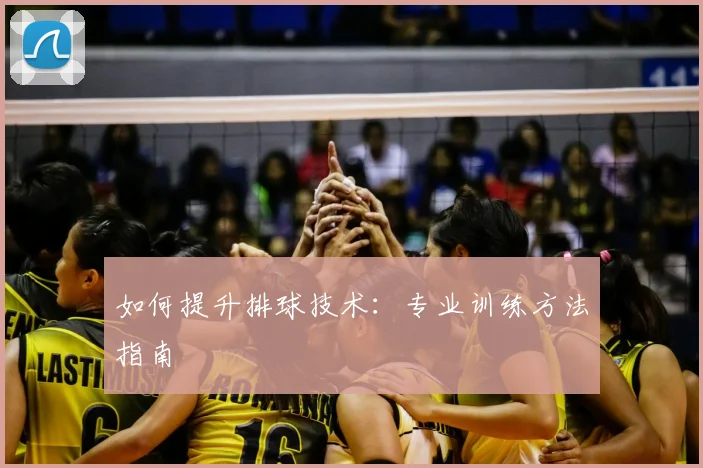 如何提升排球技术：专业训练方法指南
