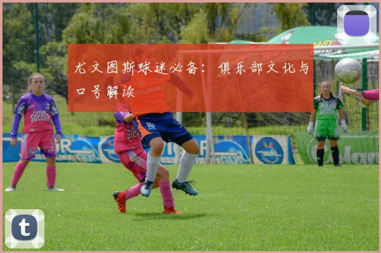尤文图斯球迷必备:俱乐部文化与口号解读